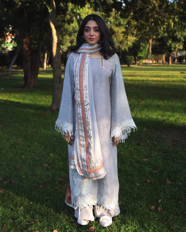 CHANDNI - image 3
